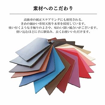 61R+SIaxQRL._UF350,350_QL80_.jpg